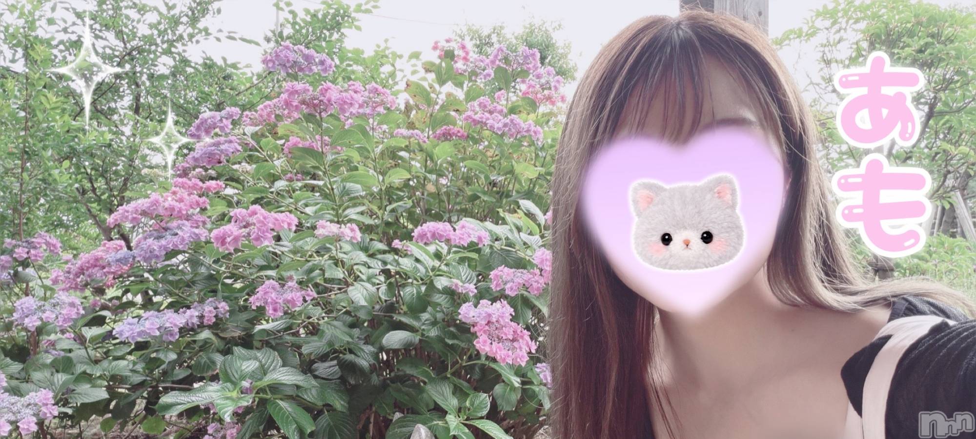 新潟メンズエステTHE PREMIUM SPA(ザ プレミアムスパ)君島あも(29)の2026年7月6日写メブログ「たりない。。。」