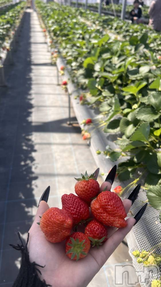 ��Į���ʥå��������륺�С�GirlsBar Raviy(�����륺�С������) ̴����4��14���̥�֥����ֺ�ǯ�餤��������♥️��