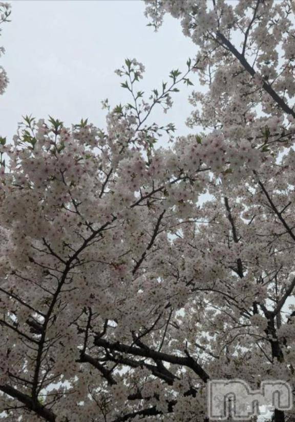 長岡デリヘル純・無垢(ジュンムク)らいむ(20)の2026年4月6日写メブログ「準備します！(￣-￣)ゞ」