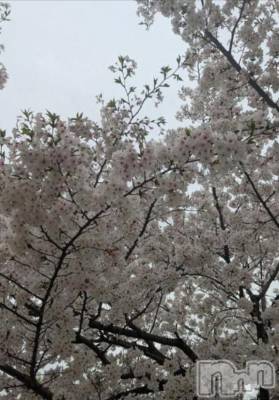 長岡デリヘル 純・無垢(ジュンムク) らいむ(20)の4月6日写メブログ「準備します！(￣-￣)ゞ」