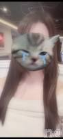 Remi ����������ʥå��������륺�С� JEUNESSE(����ͥ�)���ҡ�