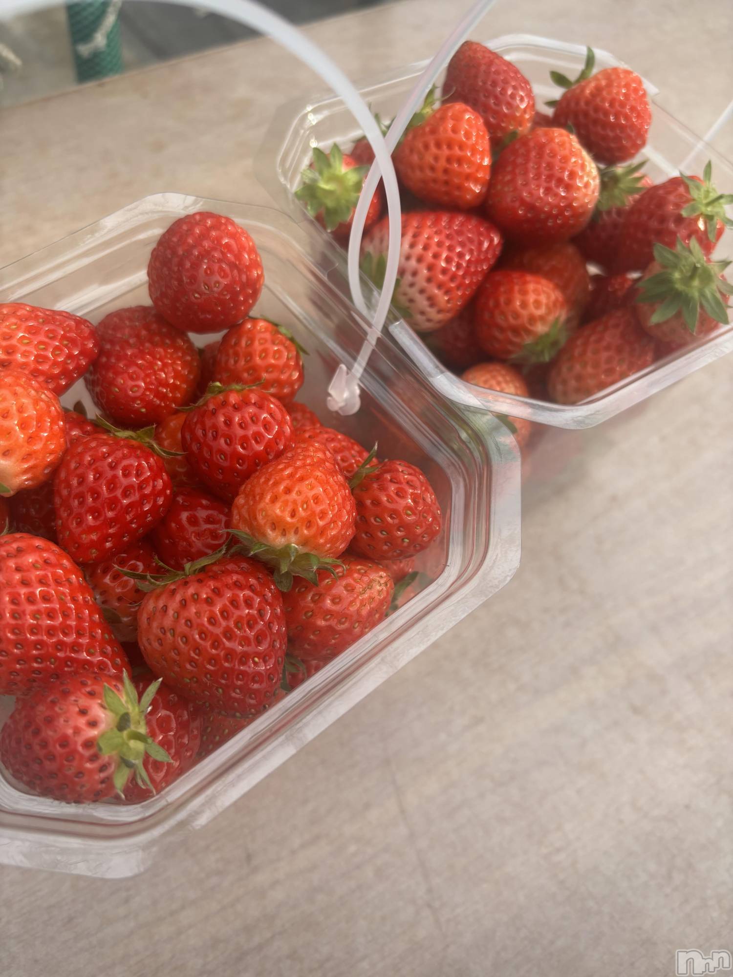 ����������ʥå��������륺�С�JEUNESSE(����ͥ�) ��2026ǯ4��27���̥�֥�����ǰ�ꤤ��������💖✨��