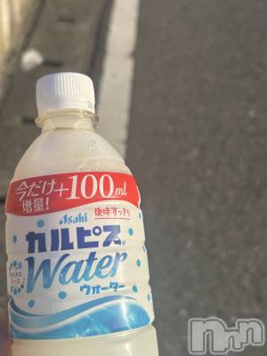 ����������ʥå��������륺�С�JEUNESSE(����ͥ�) Remi��6��5���̥�֥�����ī�衢����☀️��