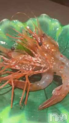 �٤꿩��🦐💕