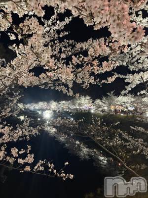 ��ˬ����Х��顦����֥���� �ץ���� ��ˬ(����� �ץ���� ����) ��ƣ �줢(20)��4��10���̥�֥�����🌸��