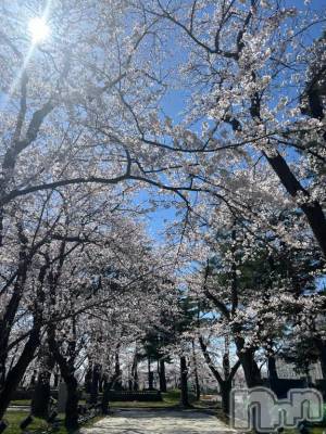 上越デリヘル HONEY(ハニー) すず(♪)(26)の4月6日写メブログ「花見🎶」