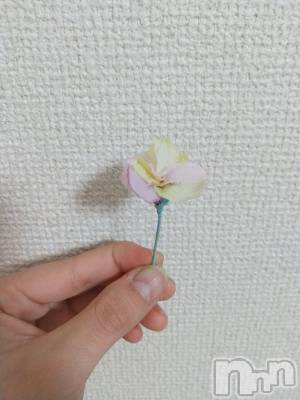 長岡デリヘル 純・無垢(ジュンムク) ほたる (22)の3月28日写メブログ「初めまして！」