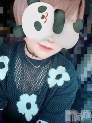 新潟デリヘル 奥様特急 新潟店(オクサマトッキュウニイガタテン) ゆいは(40)の3月31日写メブログ「頭がかち割れるかと思った、、、」