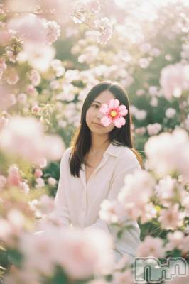 新潟デリヘル Minx(ミンクス) 和美【新人】(29)の3月31日写メブログ「はじめまして⭐︎」