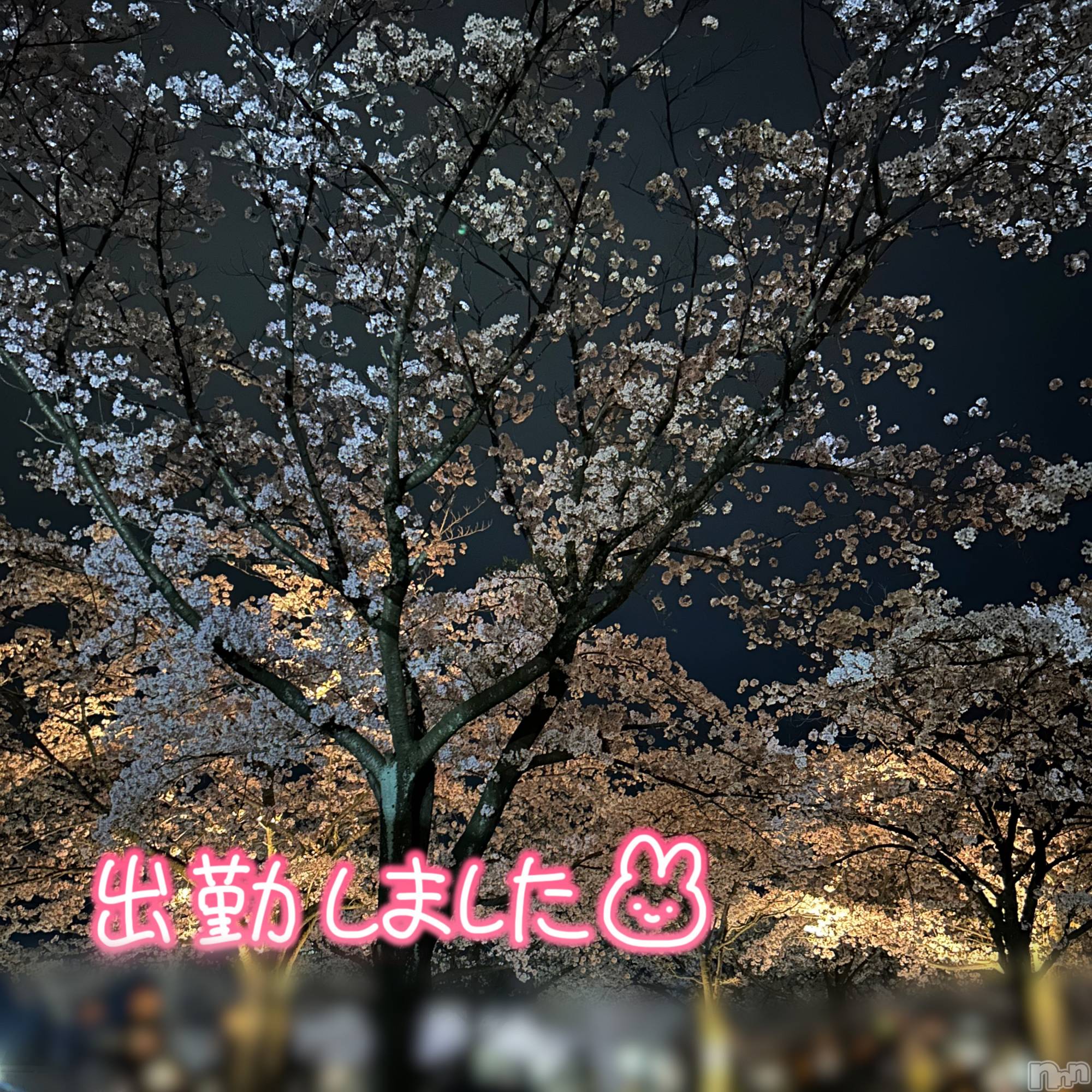 長岡デリヘルMimi(ミミ)体験すい(20)の2026年4月11日写メブログ「出勤✨」