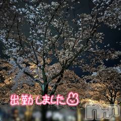 長岡デリヘルMimi(ミミ) 体験すい(20)の4月11日写メブログ「出勤✨」