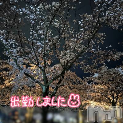 長岡デリヘル Mimi(ミミ) 体験すい(20)の4月11日写メブログ「出勤✨」