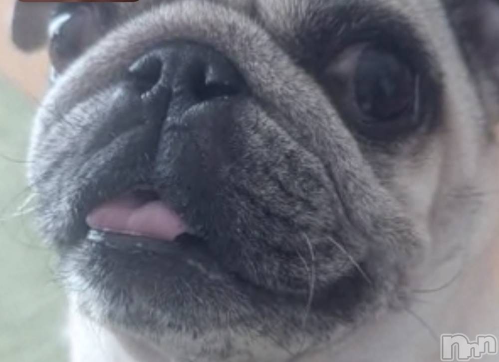 ��Į���ʥå��������륺�С�GIRLS BAR Fable(�����륺�С��ե��֥�) ����4��18���̥�֥����֤ɤ�ӤǤ�.��