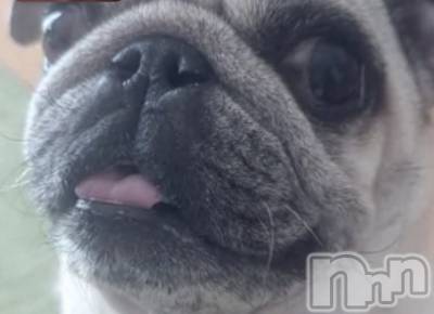 ��Į���ʥå��������륺�С�GIRLS BAR Fable(�����륺�С��ե��֥�) ����4��18���̥�֥����֤ɤ�ӤǤ�.��