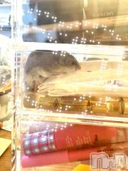 新潟デリヘル熟女の風俗 最終章(ジュクジョノフウゾクサイシュウショウ) すい(35)の9月24日写メブログ「小さくてすばしっこいやつ。」