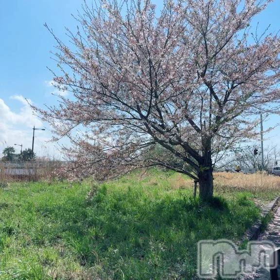 新潟デリヘル熟女の風俗 最終章(ジュクジョノフウゾクサイシュウショウ)くらん(35)の2026年4月18日写メブログ「おはようございます☀️」