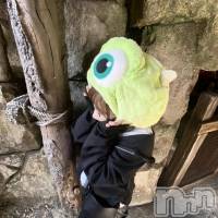 ����������ʥå��������륺�С� �������ʥå� New KANAKO(�˥塼���ʥ�) �ޤ��β���(2����)