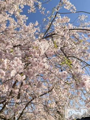 ����������ʥå��������륺�С����פꥹ�ʥå� ��ä��礤(���ޥĥꥹ�ʥå���å��祤) ���(19)��4��14���̥�֥����֤���ˤ���❣️��