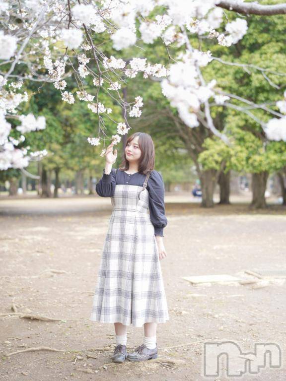 長岡デリヘルROOKIE(ルーキー) 姫路ありあ☆プラチナ(24)の4月5日写メブログ「さくら🌸」