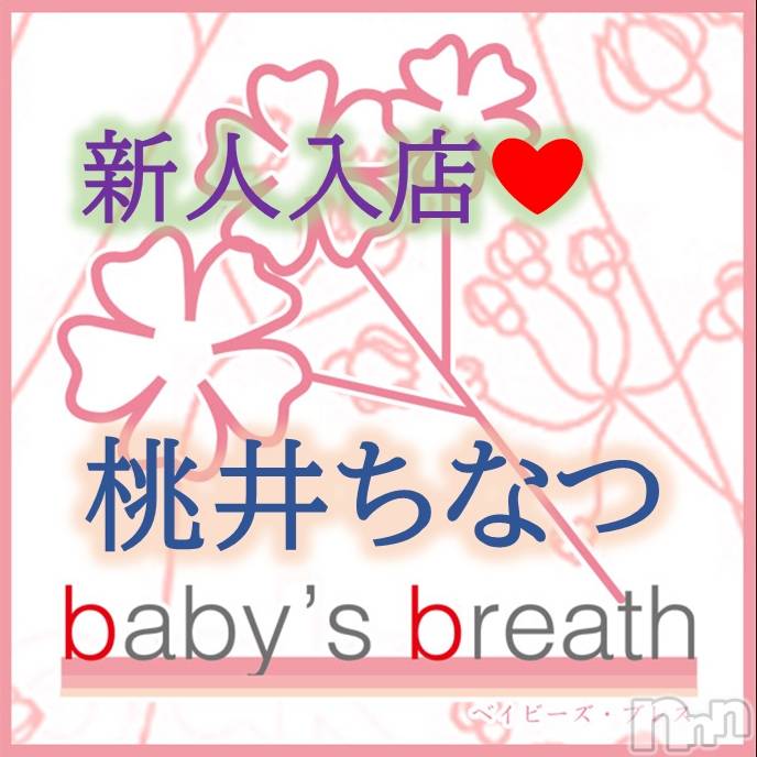 新潟メンズエステbaby's breath(ベイビーズブレス) 桃井ちなつ【新人】の4月8日写メブログ「桃井ちなつですよろしくお願いいたします」