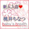 桃井ちなつ【新人】(ヒミツ) スリーサイズB().W.H。新潟メンズエステ baby's breath(ベイビーズブレス)在籍。