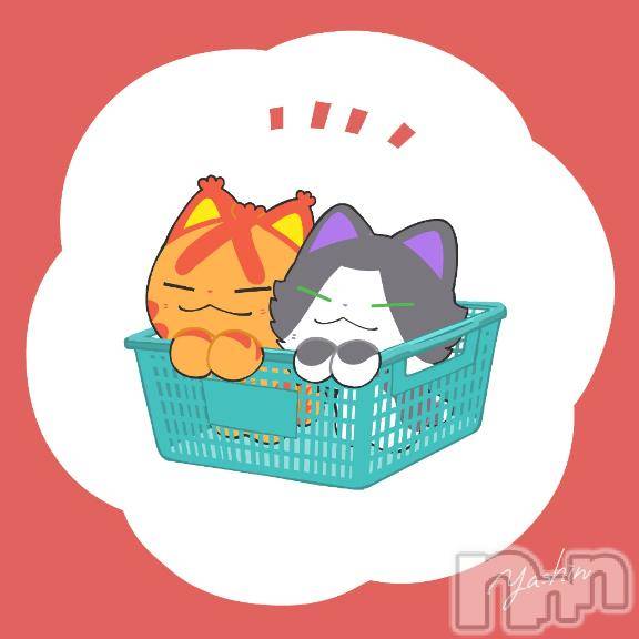 長岡デリヘル奥様特急 長岡店(オクサマトッキュウナガオカテン)やよい(26)の2026年4月10日写メブログ「お知らせ」