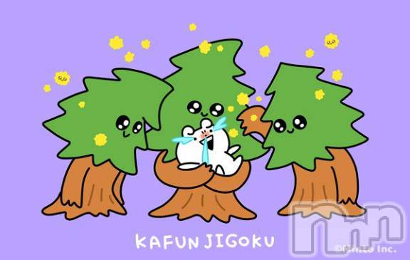 長岡デリヘル奥様特急 長岡店(オクサマトッキュウナガオカテン)やよい(26)の2026年4月12日写メブログ「[お題]from:目玉洗いてぇさん」