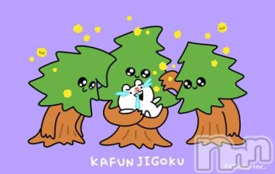 長岡デリヘル 奥様特急 長岡店(オクサマトッキュウナガオカテン) やよい(26)の4月12日写メブログ「[お題]from:目玉洗いてぇさん」