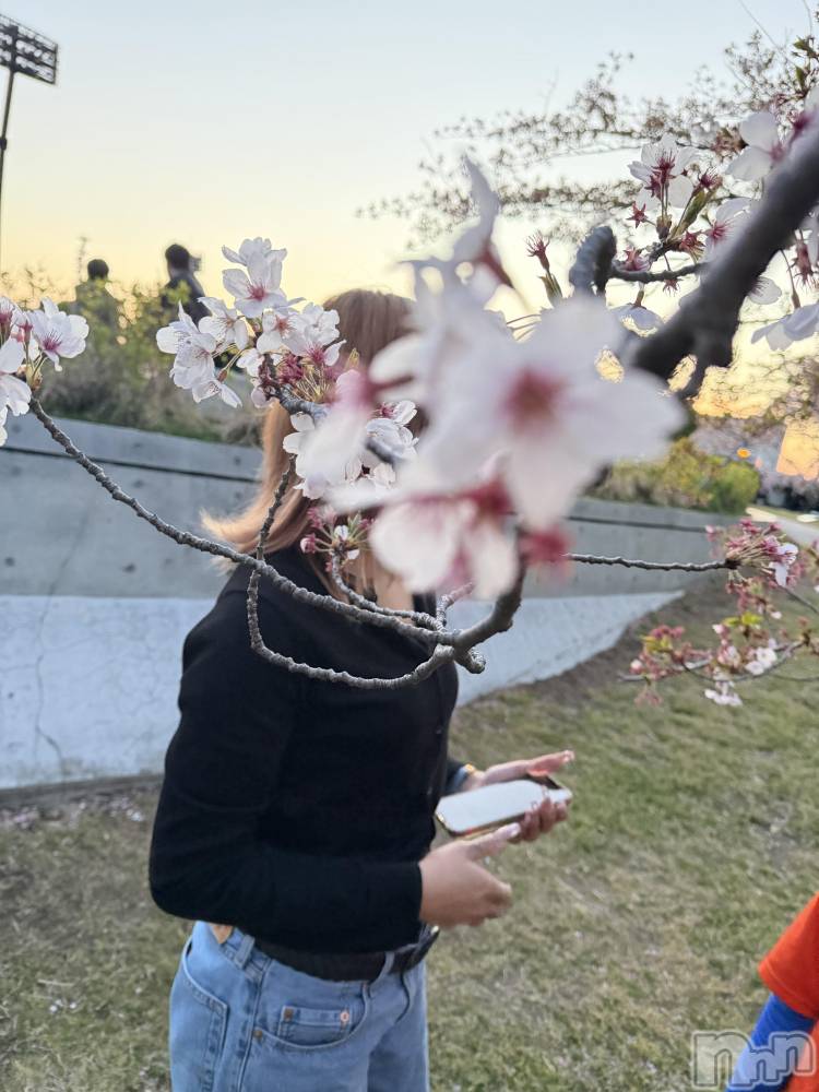 �����������Х��顦����֥ʥ��ȥʥӤ���ο�(�ʥ��ȥʥӥΥʥ��Υҥ�) �����å��綶��4��18���̥�֥����ֺ��ܻۤ��äƤ�🌸��