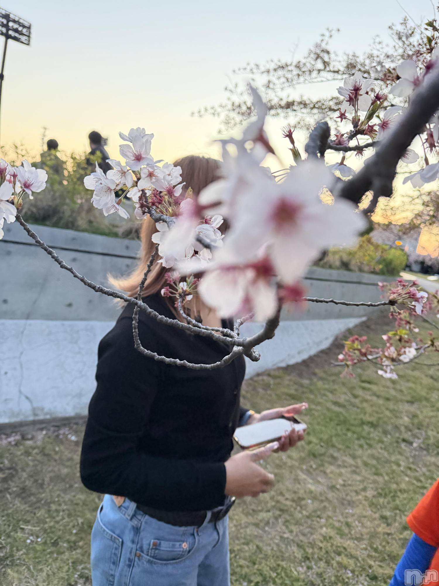 �����������Х��顦����֥ʥ��ȥʥӤ���ο�(�ʥ��ȥʥӥΥʥ��Υҥ�) ��2026ǯ4��18���̥�֥����ֺ��ܻۤ��äƤ�🌸��