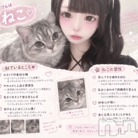 ������&���饪��BAR  L  STYLE