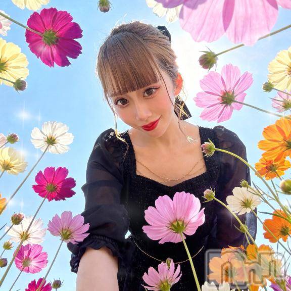 上越デリヘルBLUE BIRD上越店(ブルーバード上越店) せいは(22)の4月11日写メブログ「せいはのトリセツ🕊️🩷」