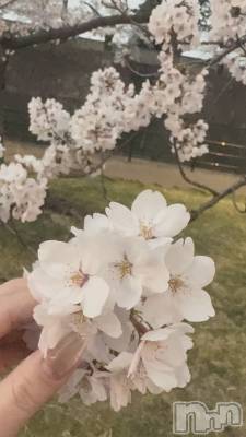 ����������ʥå��������륺�С�Girls Bar Philia(�����륺�С��ե��ꥢ) �ԤΤ�4��8���̥�֥����ֺ����Ƥ�����💗��