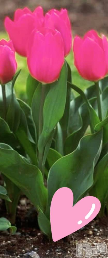 �����������Х��顦����ֽϽ�����Х��� Lips(���奯���祭��Х����åץ�) �Ϥ��4��16���̥�֥������繥��❣️��