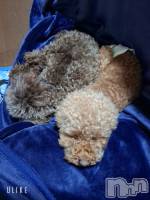 �����������Х��顦����ֽϽ�����Х��� Lips(���奯���祭��Х����åץ�) �Ϥ��4��24���̥�֥����ֽжФ��ޤ���❣️��