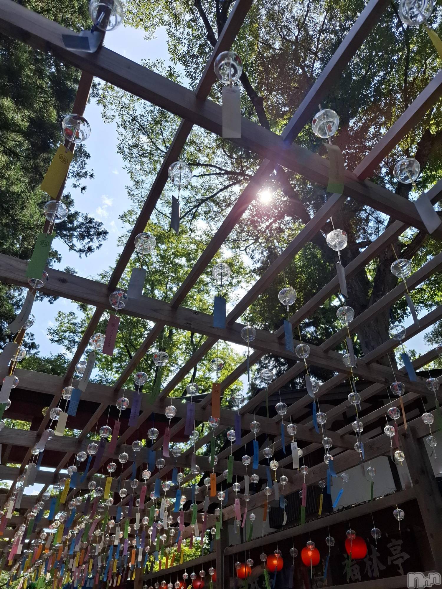 �����������Х��顦����ֽϽ�����Х��� Lips(���奯���祭��Х����åץ�) ��2026ǯ4��18���̥�֥����֤���Ф��💓‪��