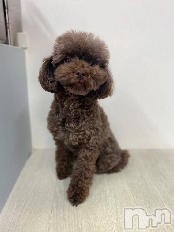 �����������Х��顦����ֽϽ�����Х��� Lips(���奯���祭��Х����åץ�) ��2026ǯ4��20���̥�֥����ֽжФ��ޤ���❣️��