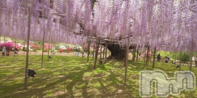 �����������Х��顦����ֽϽ�����Х��� Lips(���奯���祭��Х����åץ�) �Ϥ��4��22���̥�֥����֤���Ф��😘��