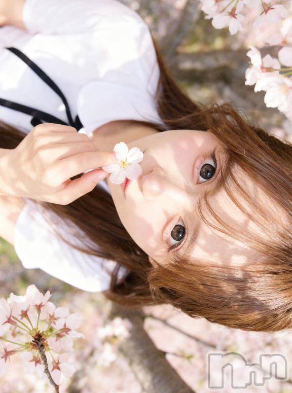 長岡デリヘルROOKIE(ルーキー) さくら☆プラチナ(23)の4月16日写メブログ「お礼ꈍ .̮ ꈍ」