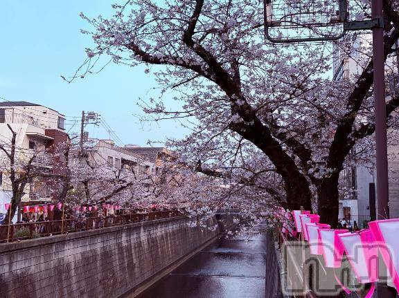 長岡デリヘルROOKIE(ルーキー)さくら☆プラチナ(23)の2026年4月14日写メブログ「見たかった」