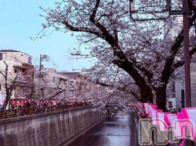 長岡デリヘル ROOKIE(ルーキー) さくら☆プラチナ(23)の4月14日写メブログ「見たかった」