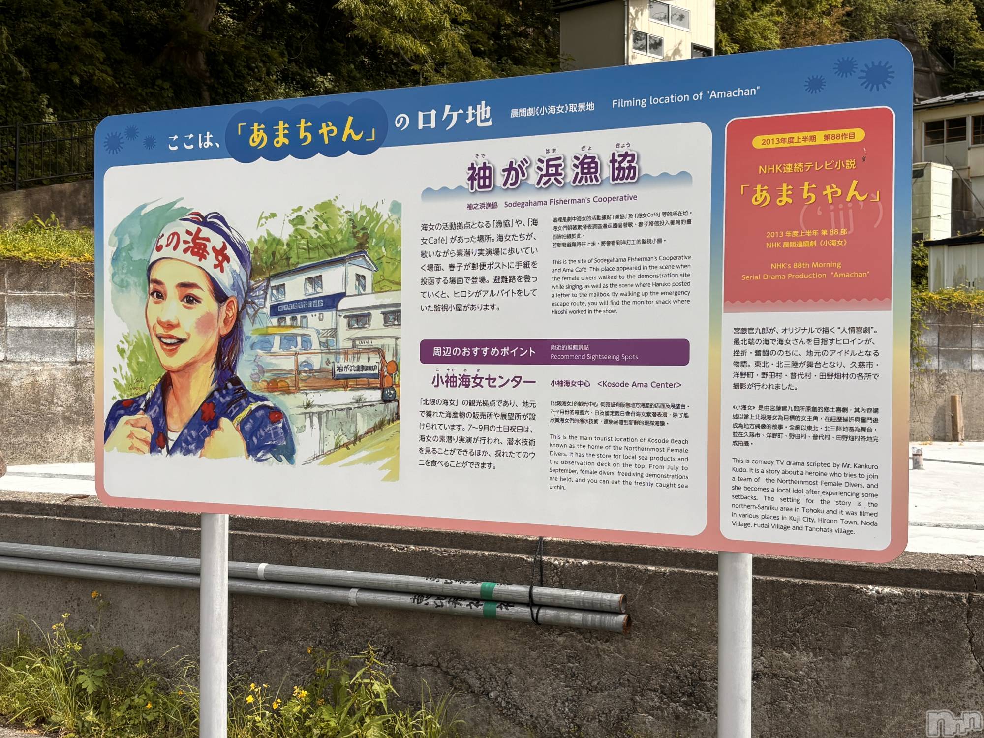 �����������Х��顦����ֽϽ�����Х��� Lips(���奯���祭��Х����åץ�) ��2026ǯ7��6���̥�֥�����0706��