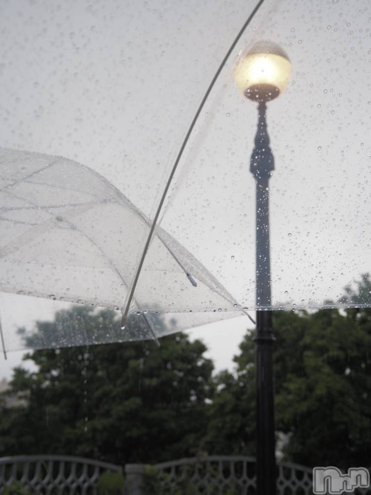 ��ˬ����Х��顦����֥���� �ץ���� ��ˬ(����� �ץ���� ����) ��� ����4��10���̥�֥�����🪽🤍��