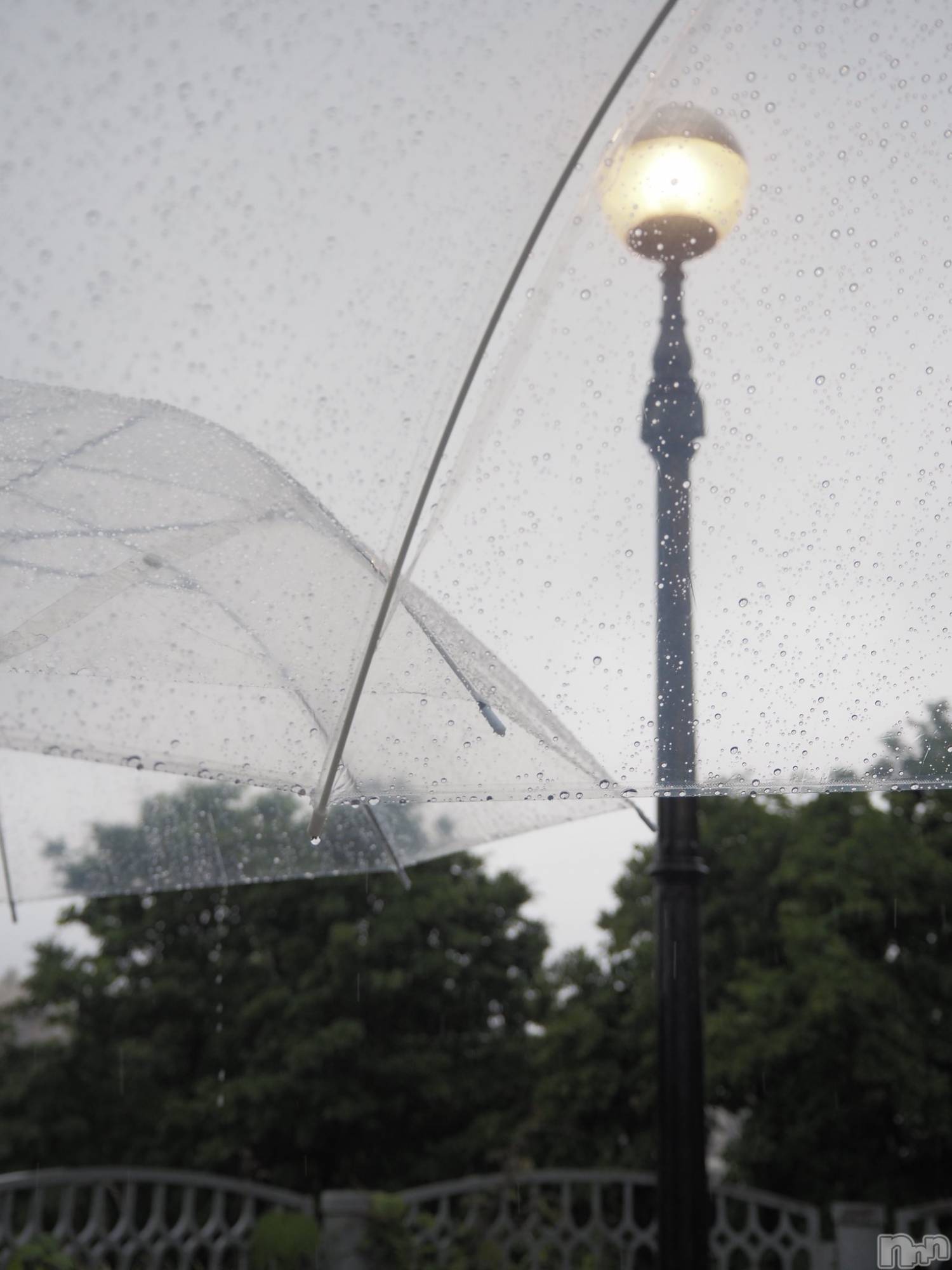 ��ˬ����Х��顦����֥���� �ץ���� ��ˬ(����� �ץ���� ����) ��2026ǯ4��10���̥�֥�����🪽🤍��