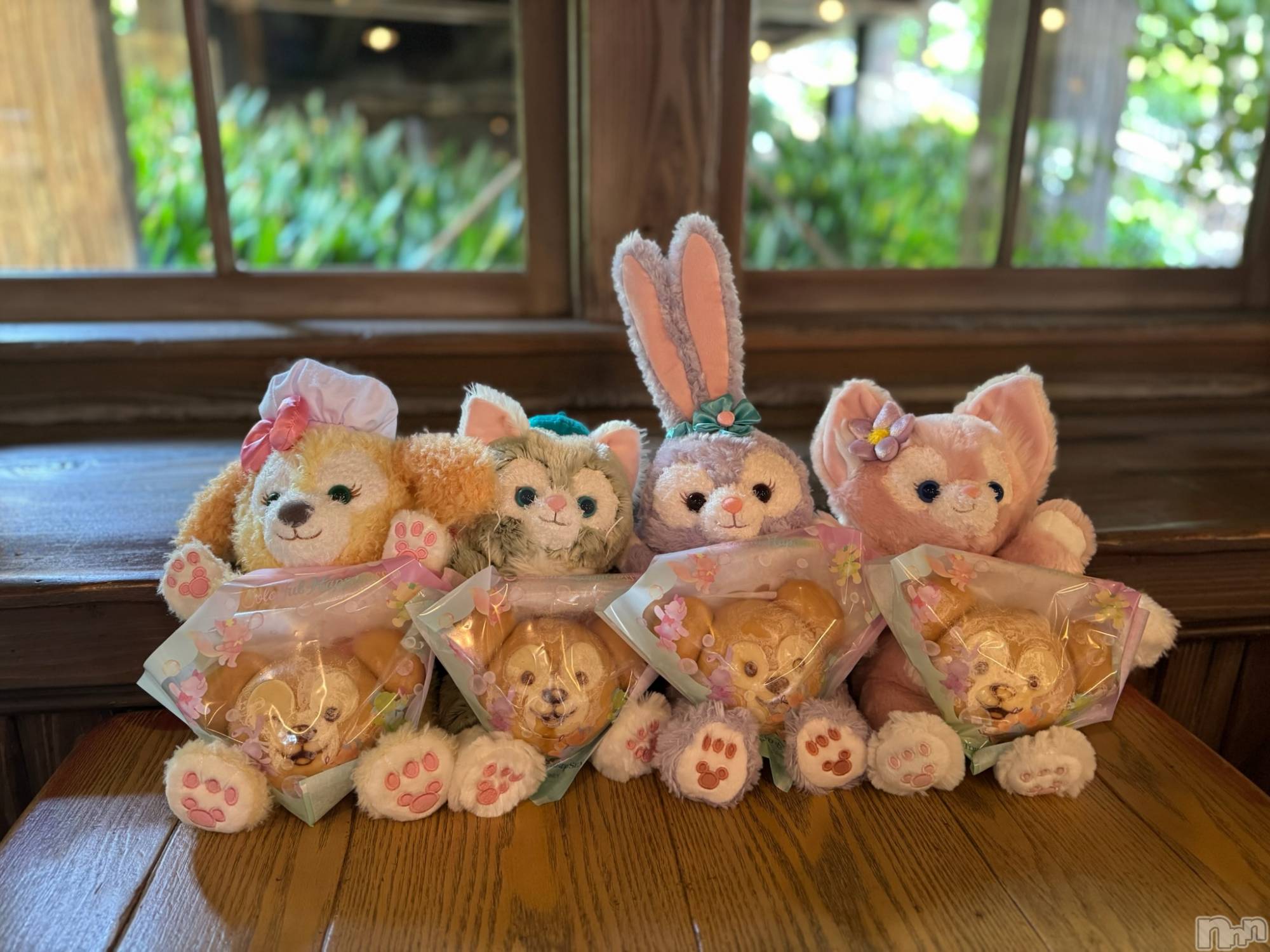 ��ˬ����Х��顦����֥���� �ץ���� ��ˬ(����� �ץ���� ����) ��2026ǯ4��14���̥�֥�����🪽🤍��