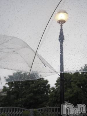 ��ˬ����Х��顦����֥���� �ץ���� ��ˬ(����� �ץ���� ����) ��� ���(23)��4��10���̥�֥�����🪽🤍��