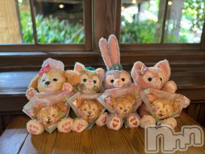 ��ˬ����Х��顦����֥���� �ץ���� ��ˬ(����� �ץ���� ����) ��� ���(23)��4��14���̥�֥�����🪽🤍��