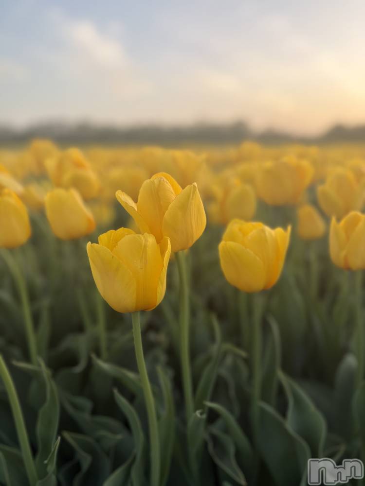 ��Į�ۥ��ȡ��ܡ������С�BAR LIBER(�С���٥�) ��������4��21���̥�֥����ֲ�ʴ����äƤ�������