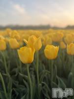 ��Į�ۥ��ȡ��ܡ������С�BAR LIBER(�С���٥�) ������(20)��4��21���̥�֥����ֲ�ʴ����äƤ�������