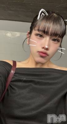 ��Į�ۥ��ȡ��ܡ������С�BAR LIBER(�С���٥�) ������(20)��5��13���̥�֥����֤Ϥ��Ϥ��Ϥ�������